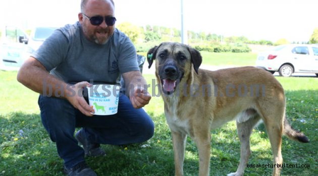 Küçük dostlarımıza 1 kap su 1 kap mama