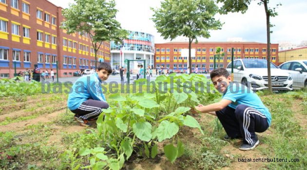 Öğrenciler organik tarım yaparak toprakla buluştu