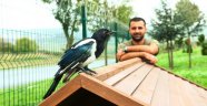 Saksağan Alex Başakşehir’i çok sevdi