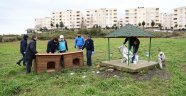 SEVİMLİ DOSTLARIMIZ İÇİN YENİ YUVALAR